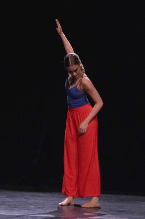 Des objectifs ambitieux : Permettre à des danseur·euses amateur·es, des enseignant·es issu·es...