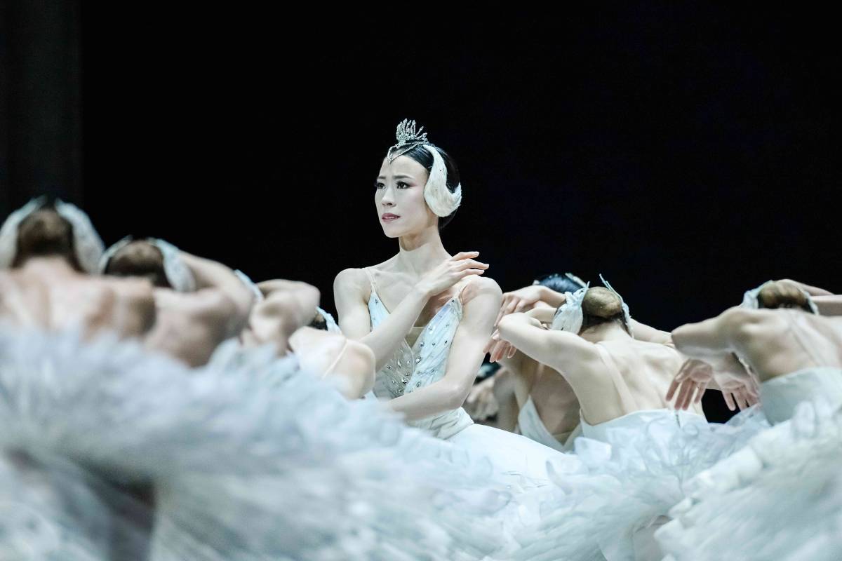 1.Ballet lac des cygnes